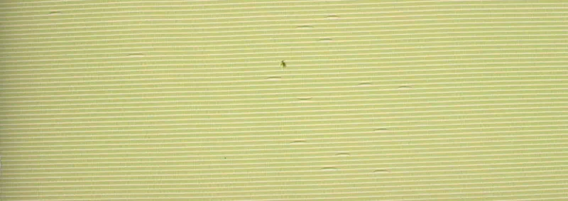 画像 1