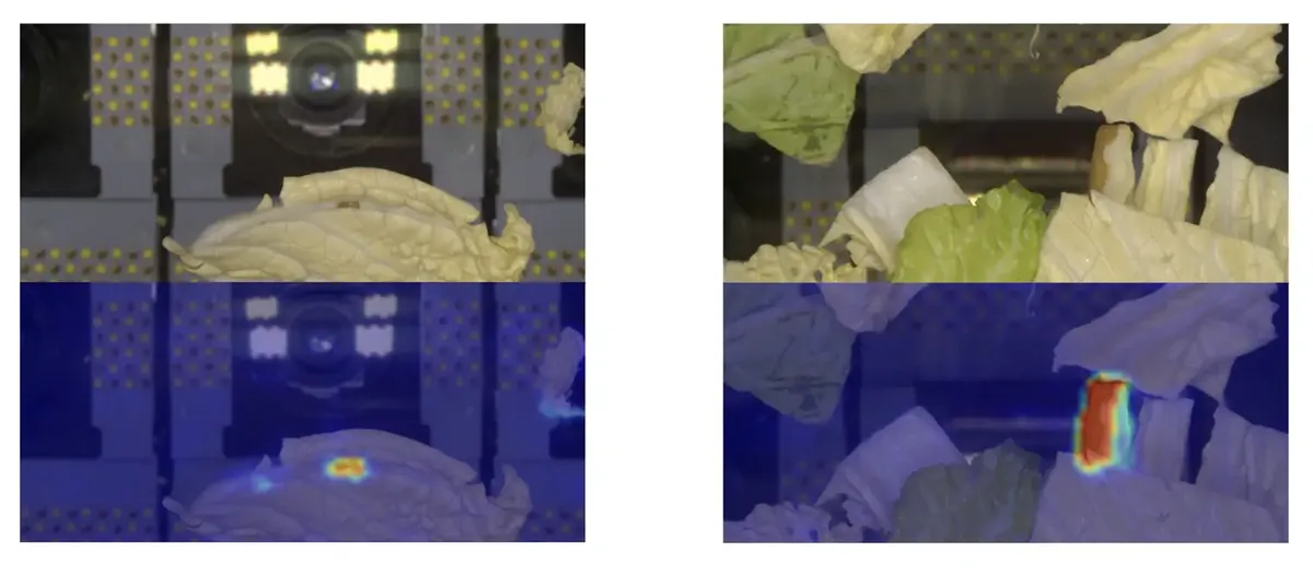 画像 1