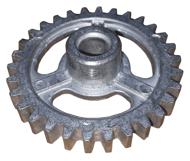 roble-v4-1566-EAAP-PR.png