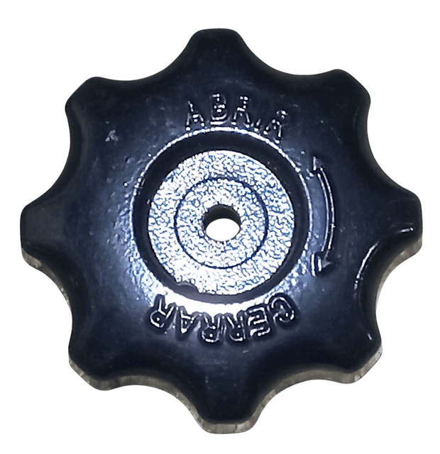 roble-v4-1993-PESTN-GF 2.png