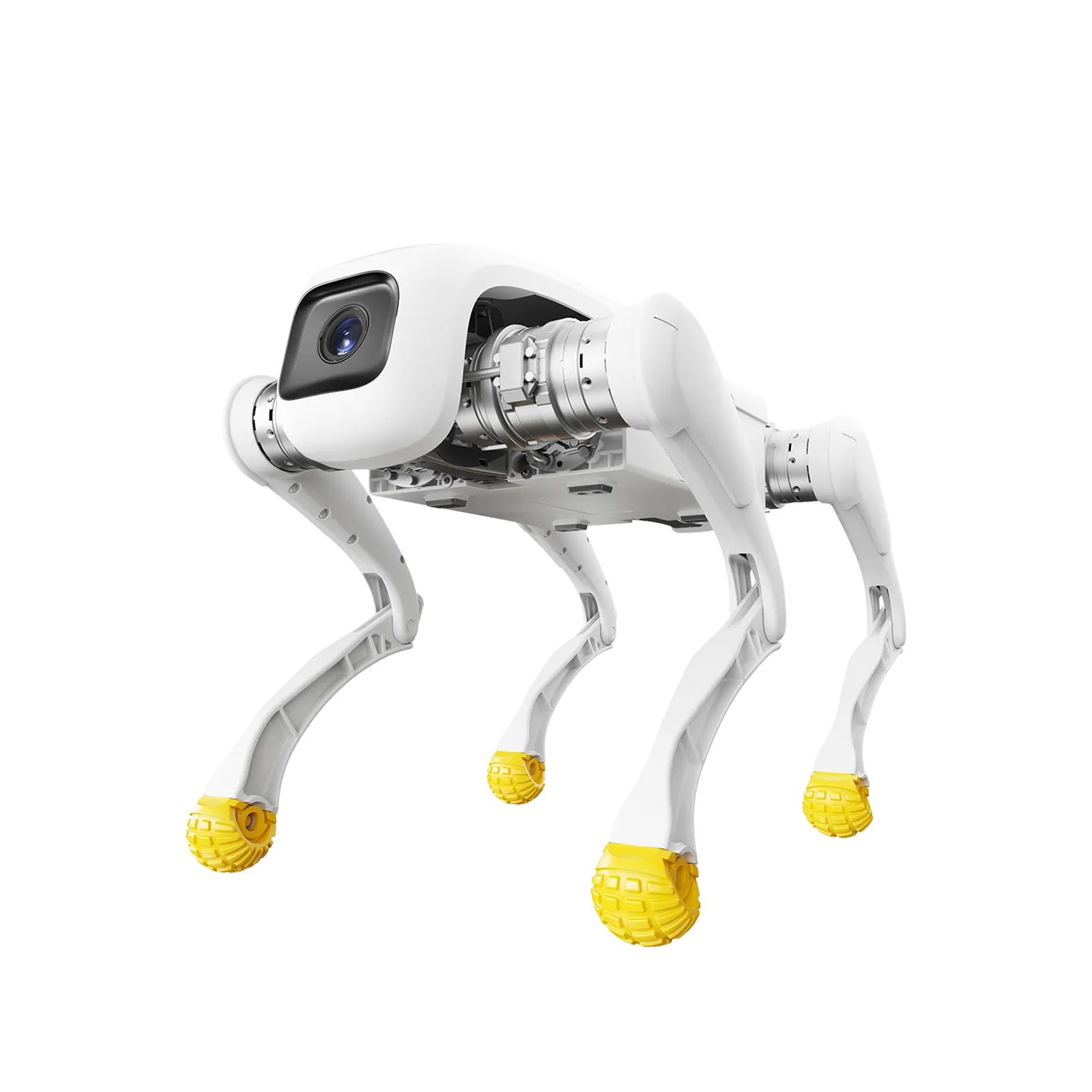 AGIBOT D1 Edu