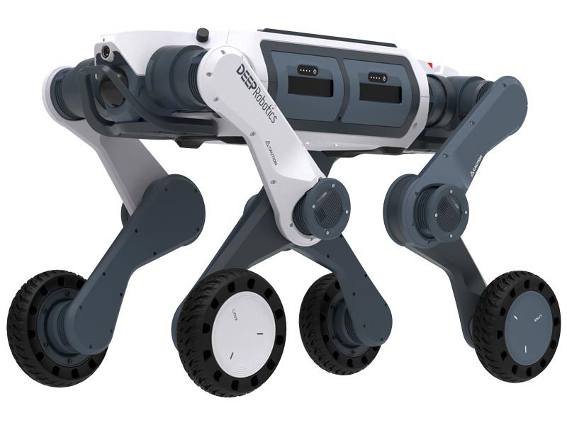 DEEP Robotics Lynx M20