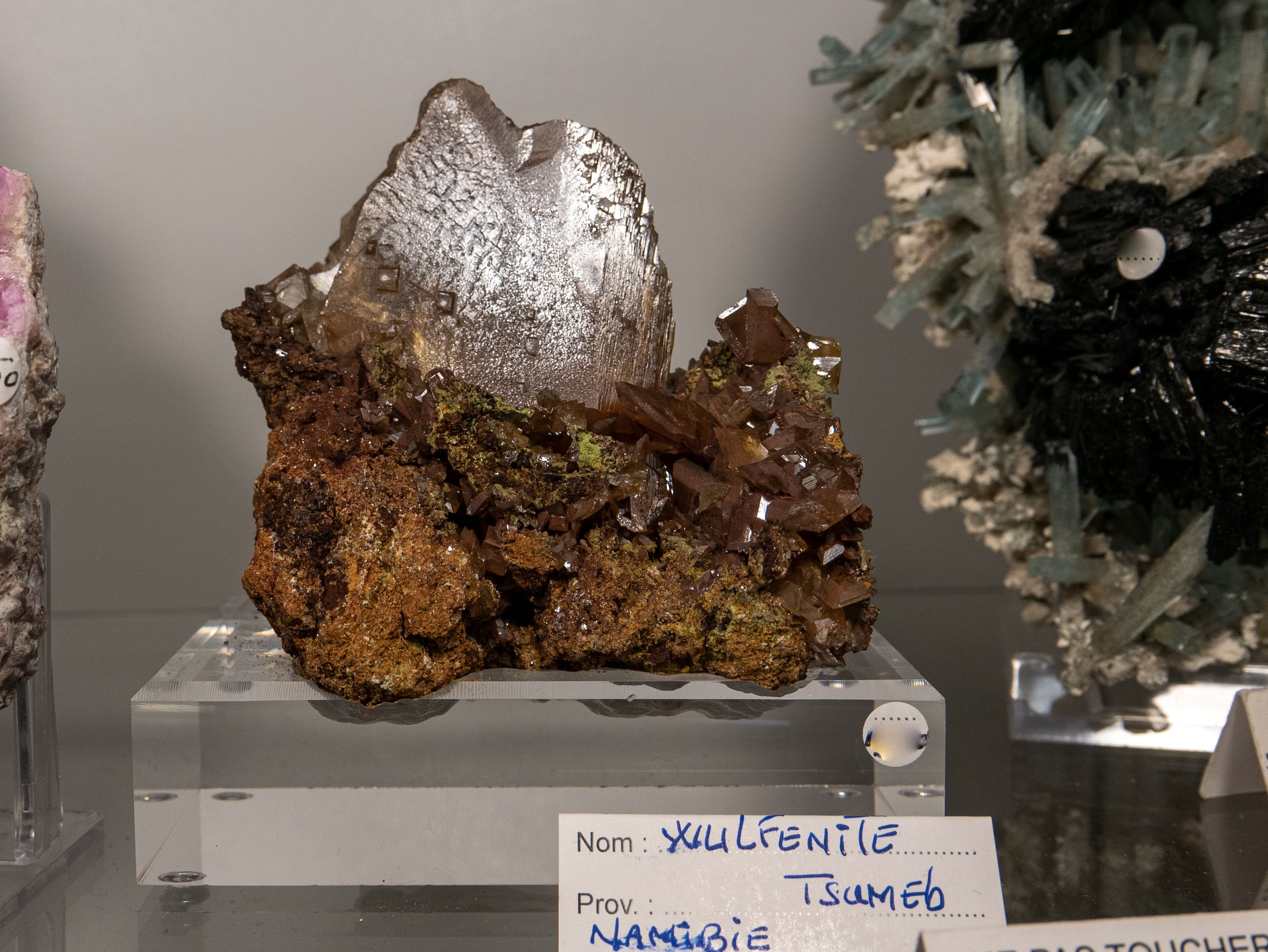 P1160176