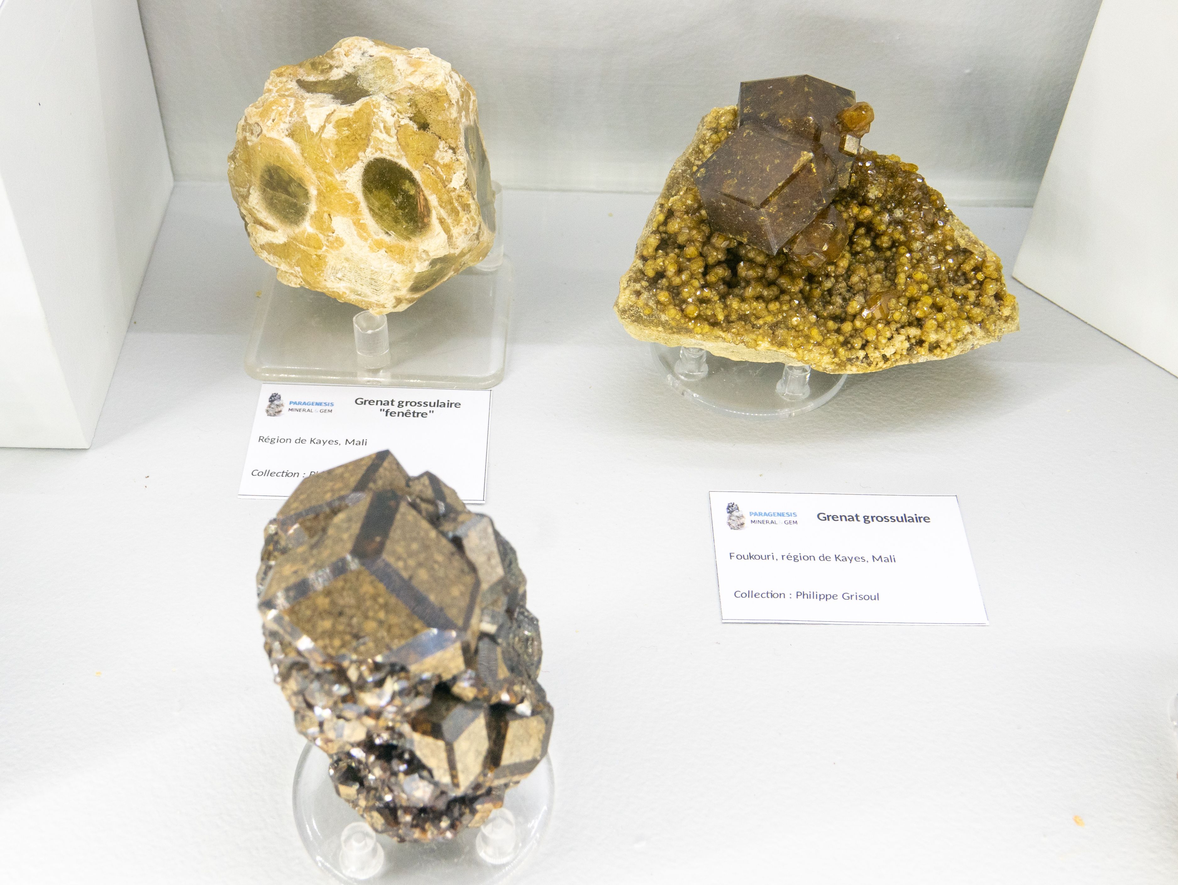 P1210040