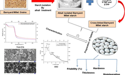 Functional and Tableting Properties of Alkali-Isolated and Phosphorylated Barnyard Millet (Echinochloa esculenta) Starch