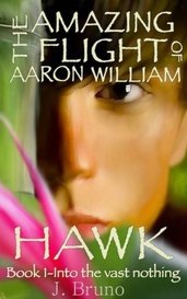 The Amazing Flight of Aaron William Hawk von jbruno