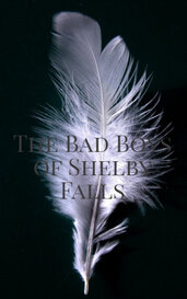 The Bad Boys of Shelby Falls by Stefan Schoeman