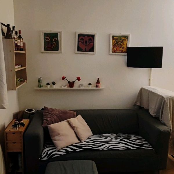 Posto letto in stanza doppia condivisa per studente a Milano foto 2