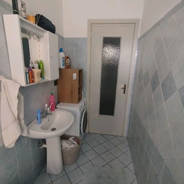 Cercasi coiqnulino/a a Torino foto 2