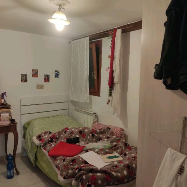 Cercasi coinquilina over 25 a Venezia foto 2
