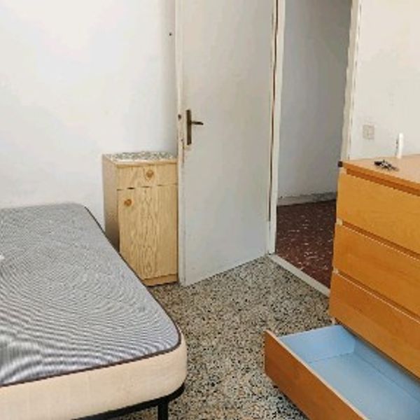 Affitto stanza singola a Pisa foto 2