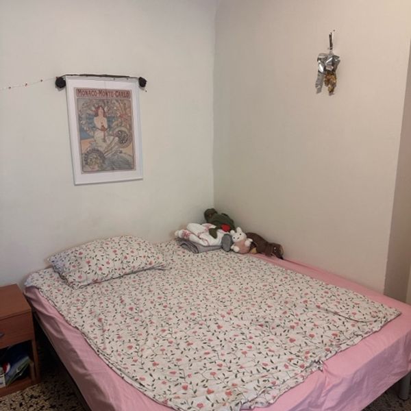 Stanza in appartamento Via San Martino a Pisa