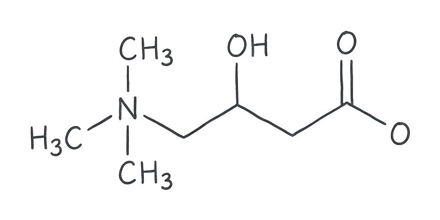 L-Carnitine molecular structure (Amino-acid derivative / mitochondrial transporter)
