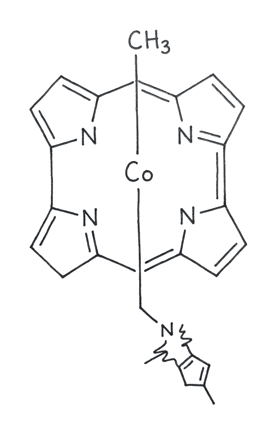 Methylcobalamin (B12) molecular structure (Active vitamin B12)