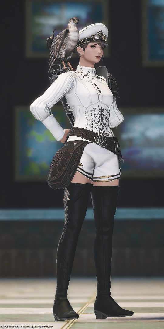 깔끔한 왕국기사