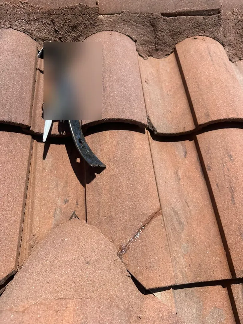 Tile Roof Repair Experts in St. Petersburg, FL in St. Petersburg