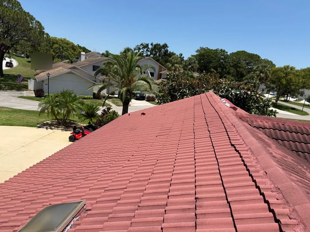 Tile Roof Repair Experts in Palm Harbor, Florida