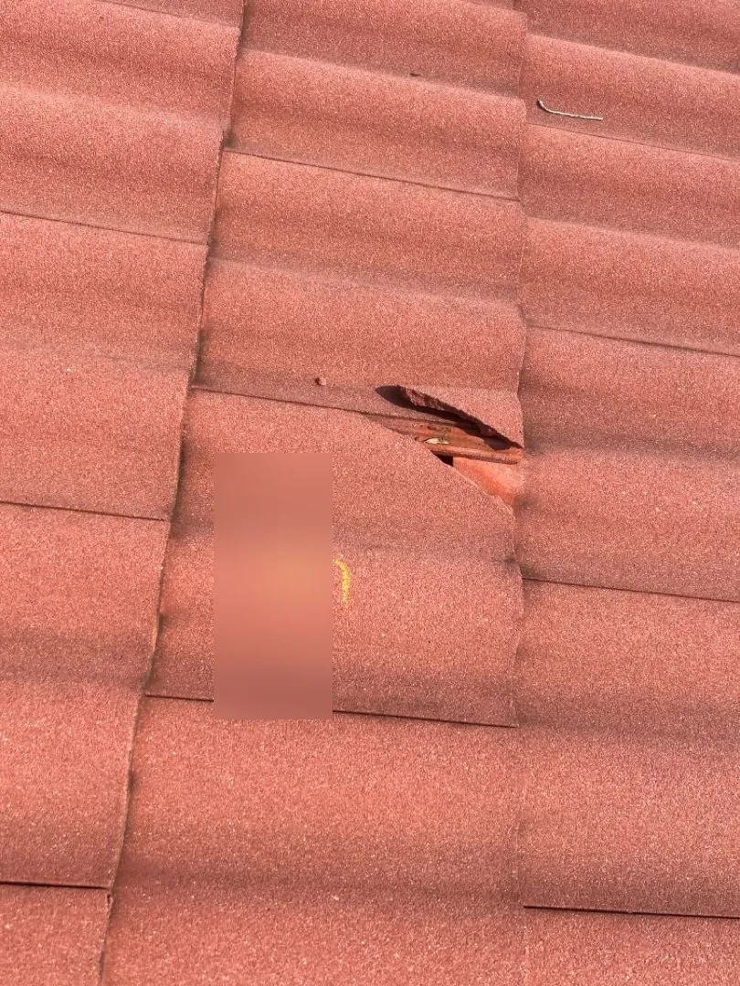 Replace Broken Tiles - Photo 16