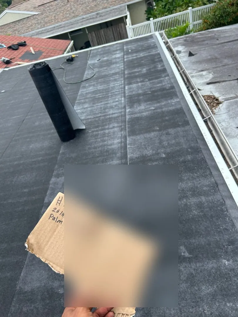 Expert Flat Roof Replacement in Palm Harbor, Florida