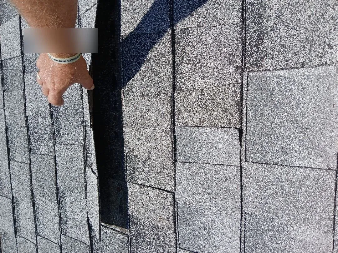 Emergency Roof Patch Services in Greater Carrollwood, FL
