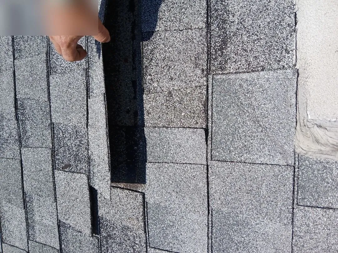 Temporary Patch - Photo 62