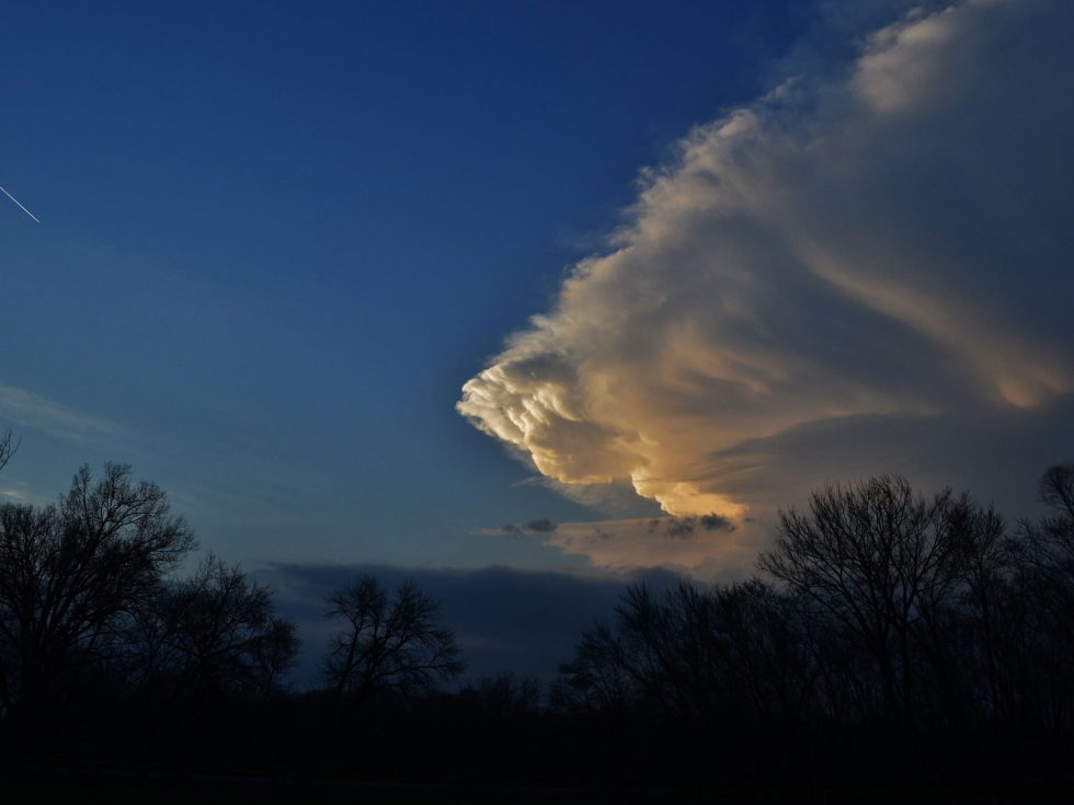 Best Roofing Company In Dallas