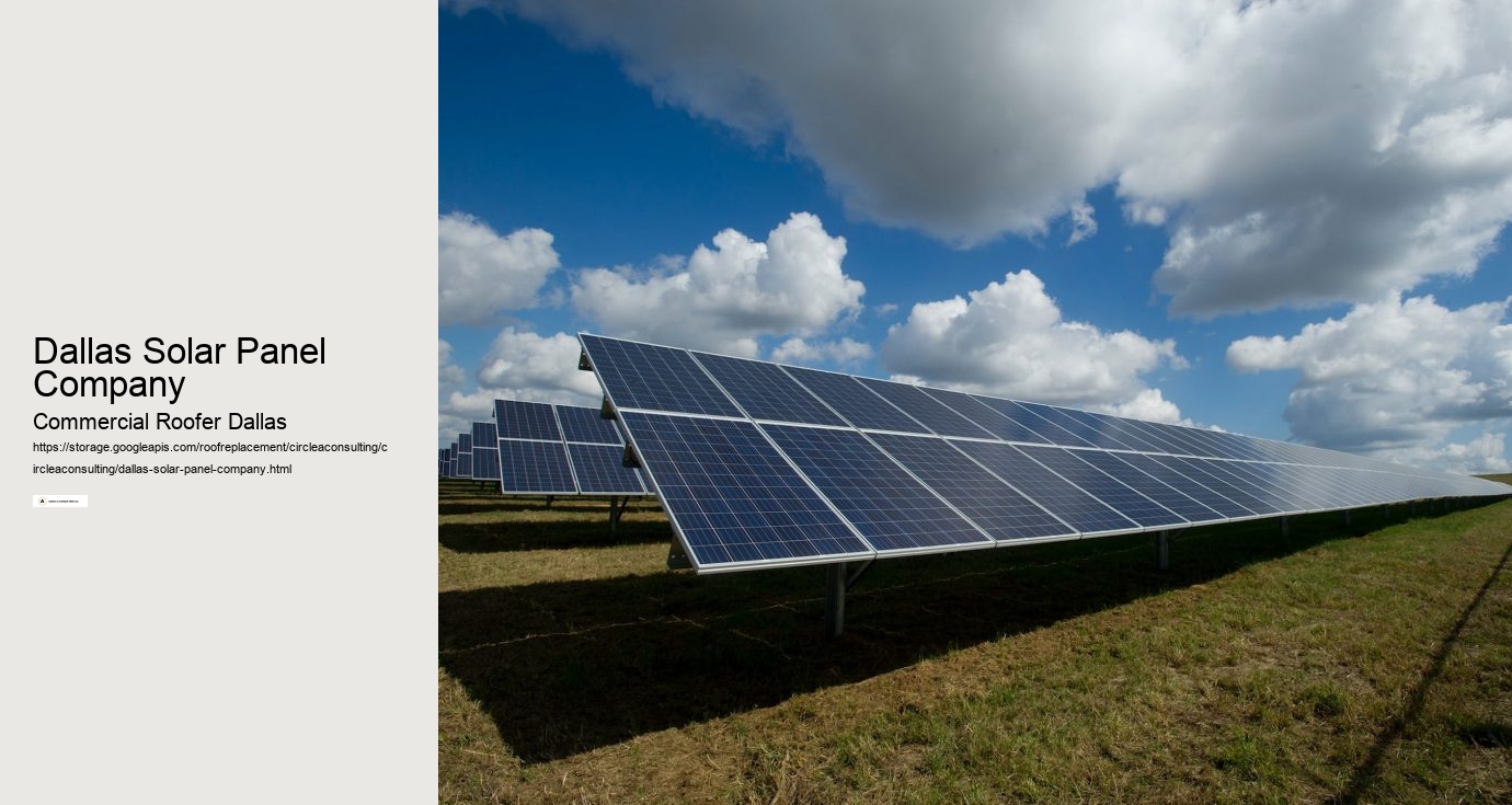 Dallas Solar Panel Company