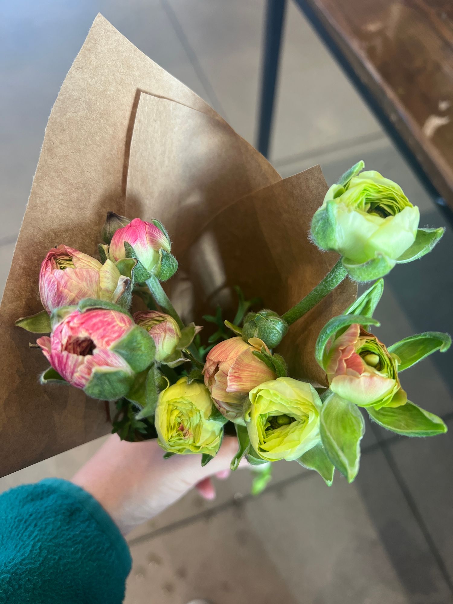 RANUNCULUS Tecolote Pastel
