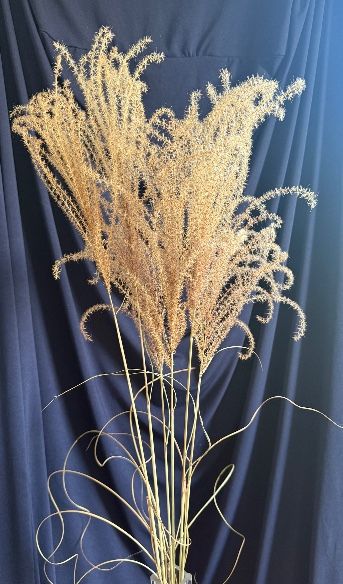 ORNAMENTAL GRASS