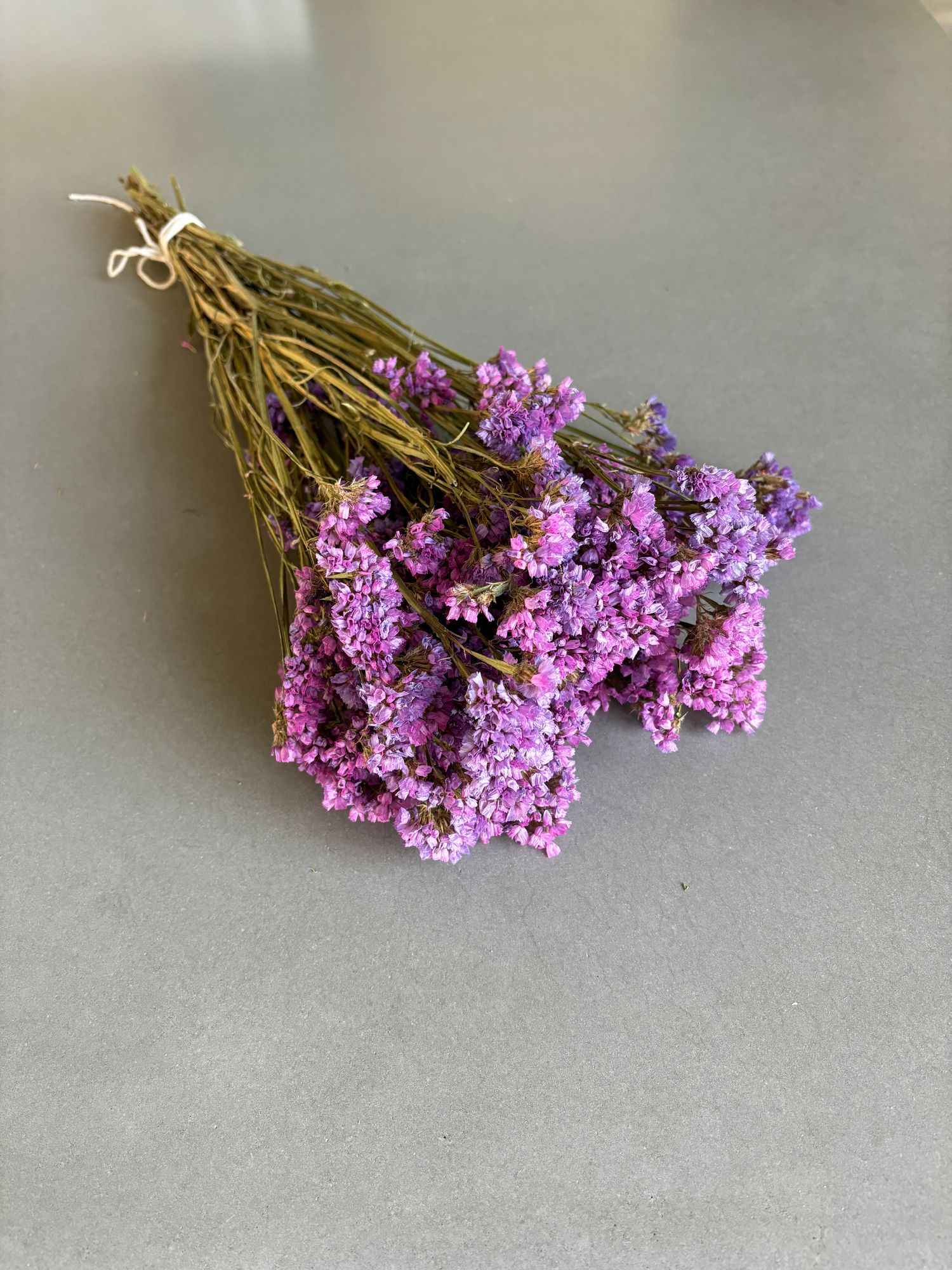 LIMONIUM sinuatum