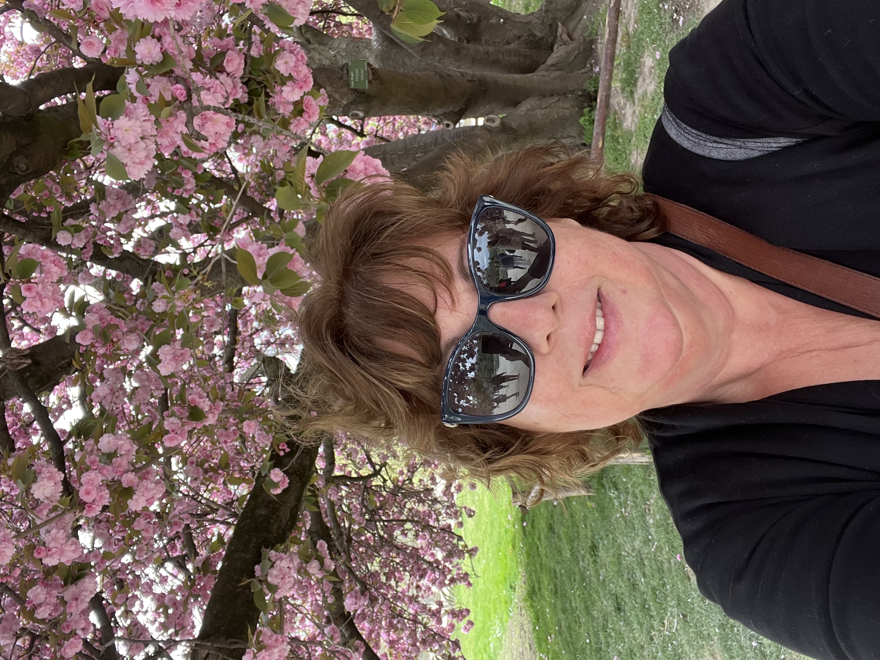 Meadowsweet Flowers Logo