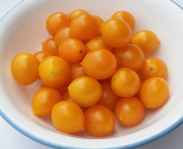 Nightshade: Tomato, Grape Yellow 3# clamshell