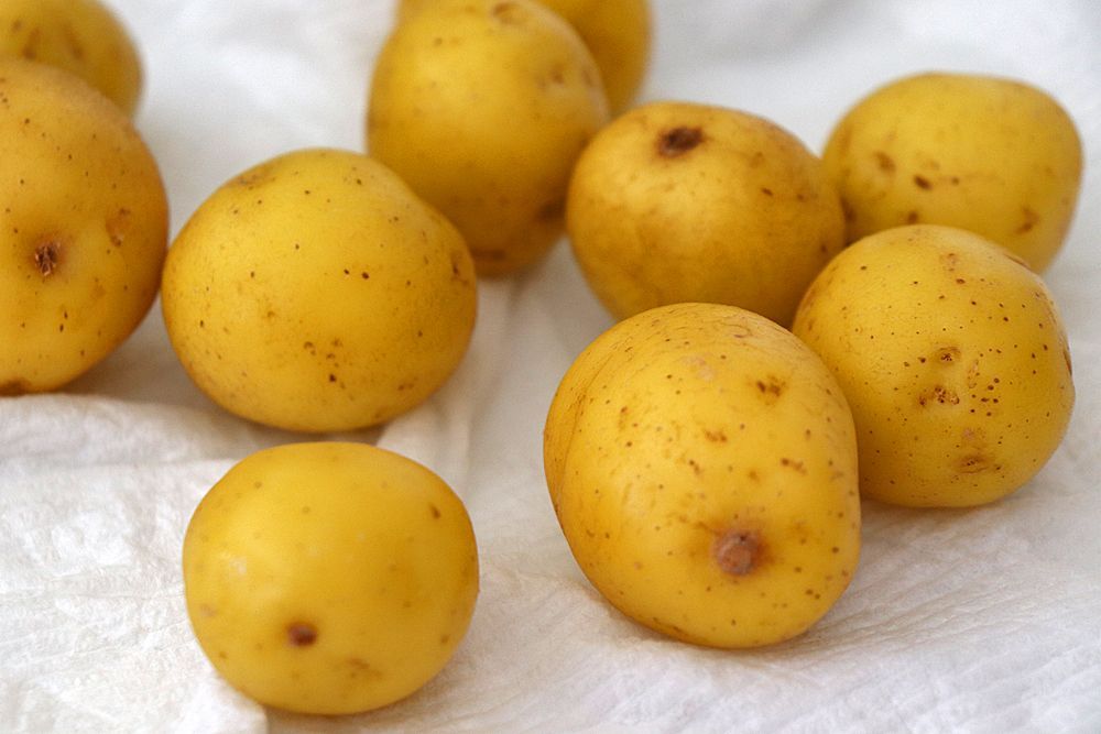 Root Vegetables: Potato, Yellow