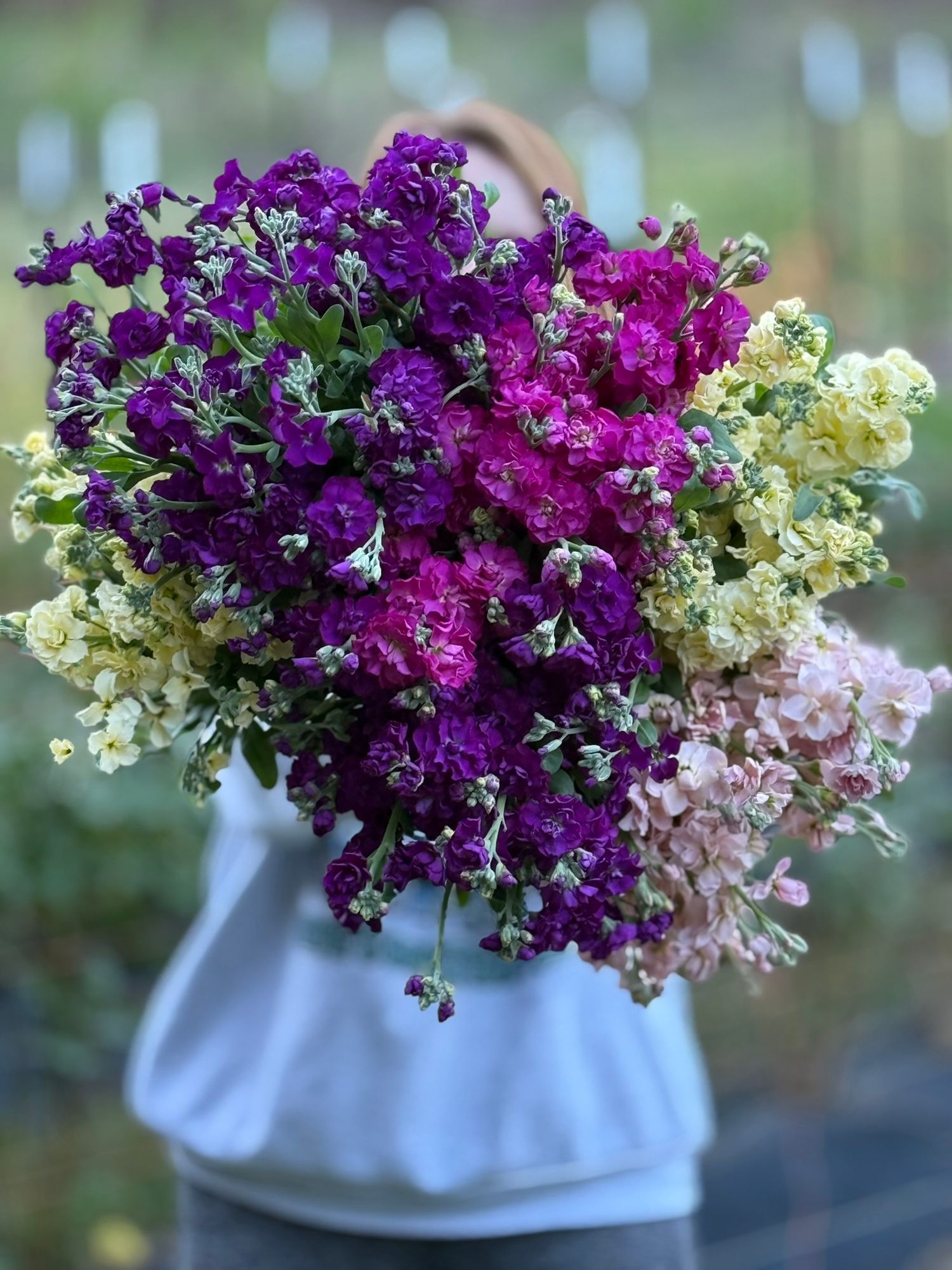 Pickin' Petals Flower Farm Logo