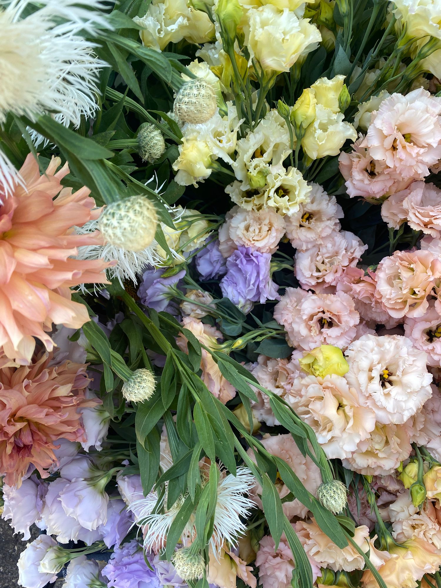 Grower's Choice Bulk Bucket