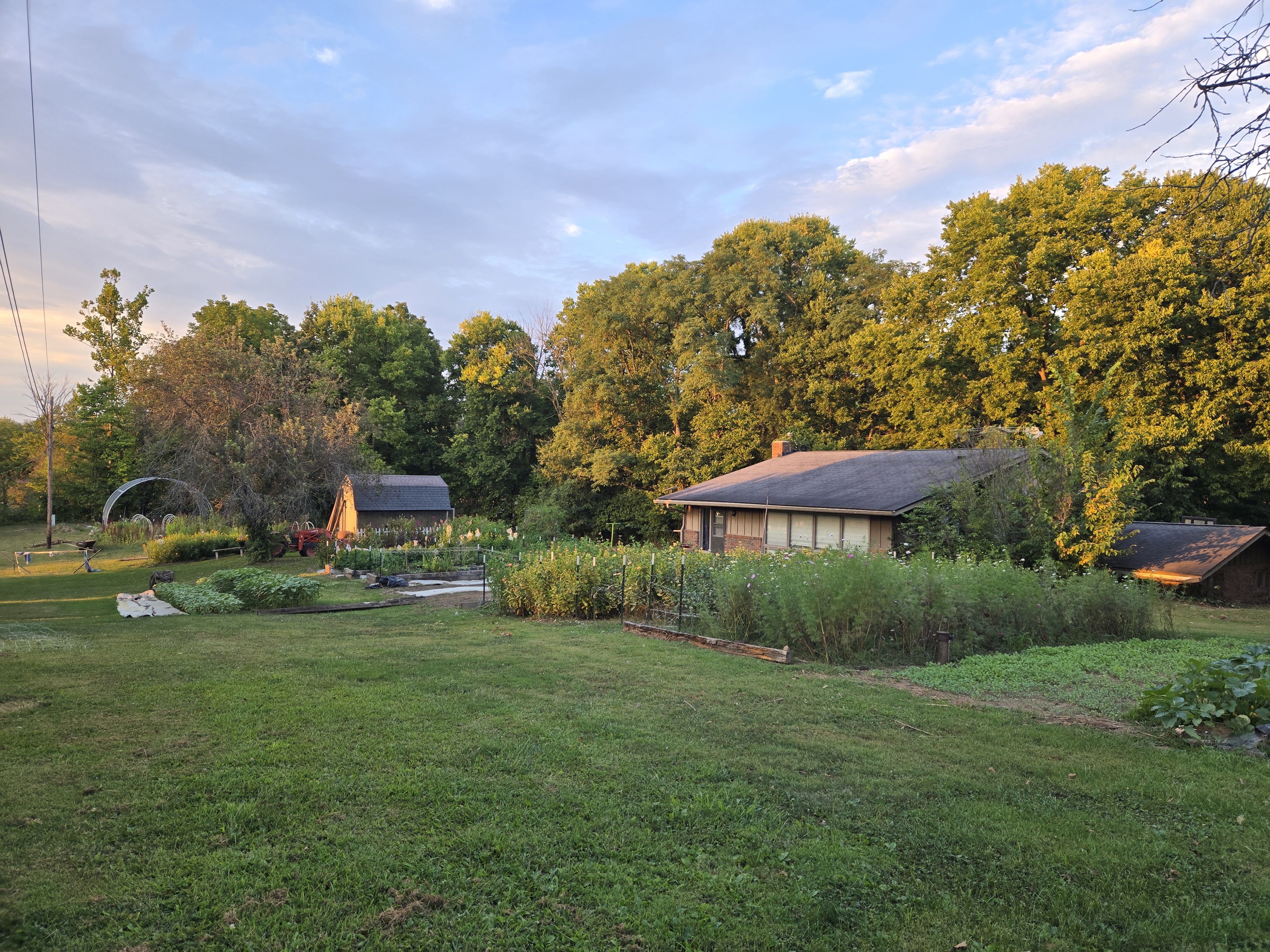 Fine Girl Flowers Banner