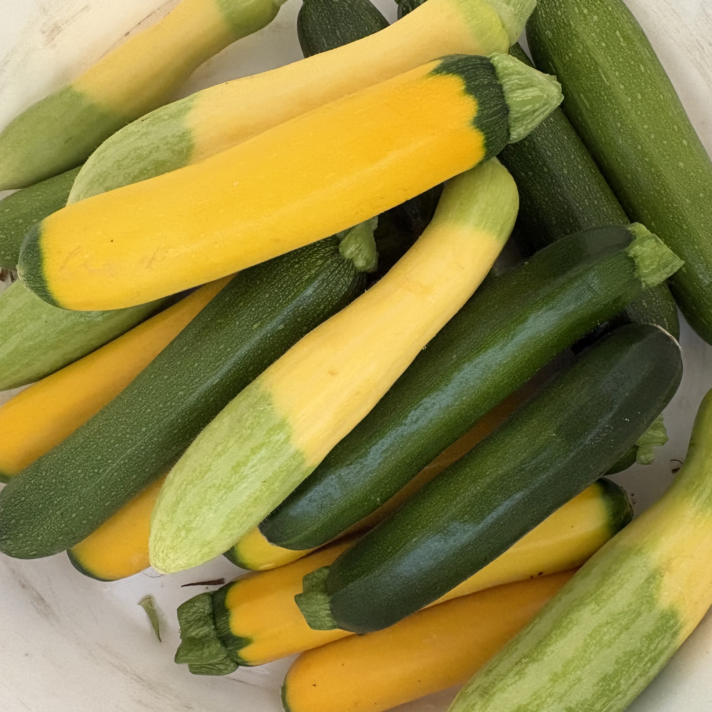 Squash,  Summer, Baby Mix