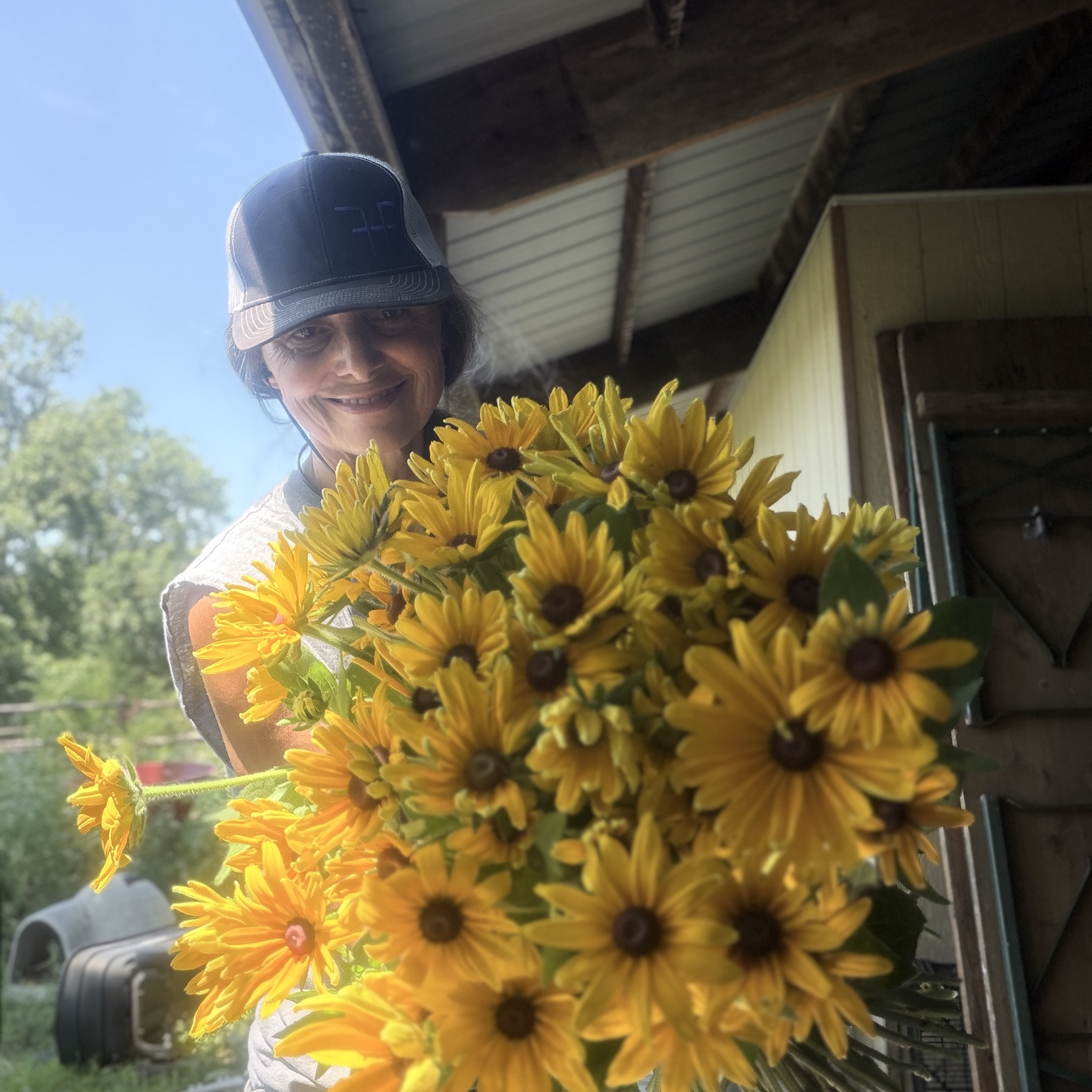 RUDBECKIA hirta Indian Summer