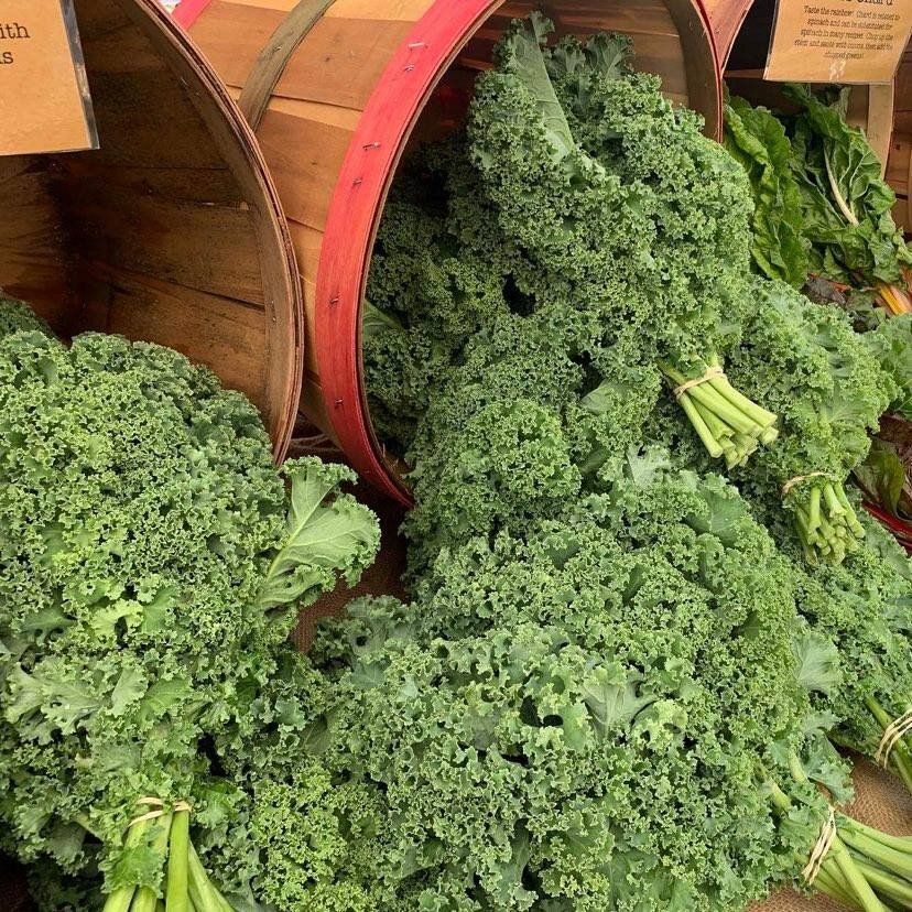 Kale, Curly