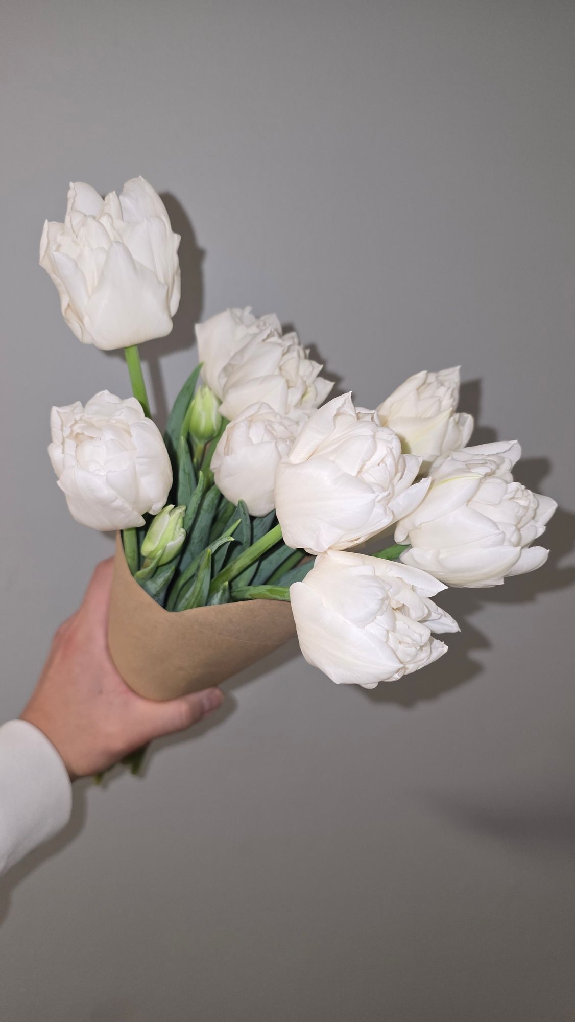 TULIPA Mondial