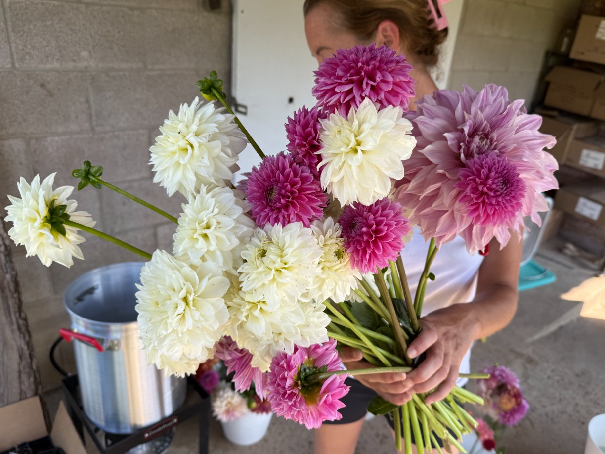 By the Bloom Farm & Flower Co. Banner