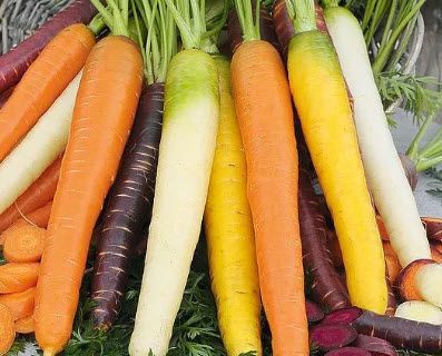 Root Vegetables: Carrots, Rainbow