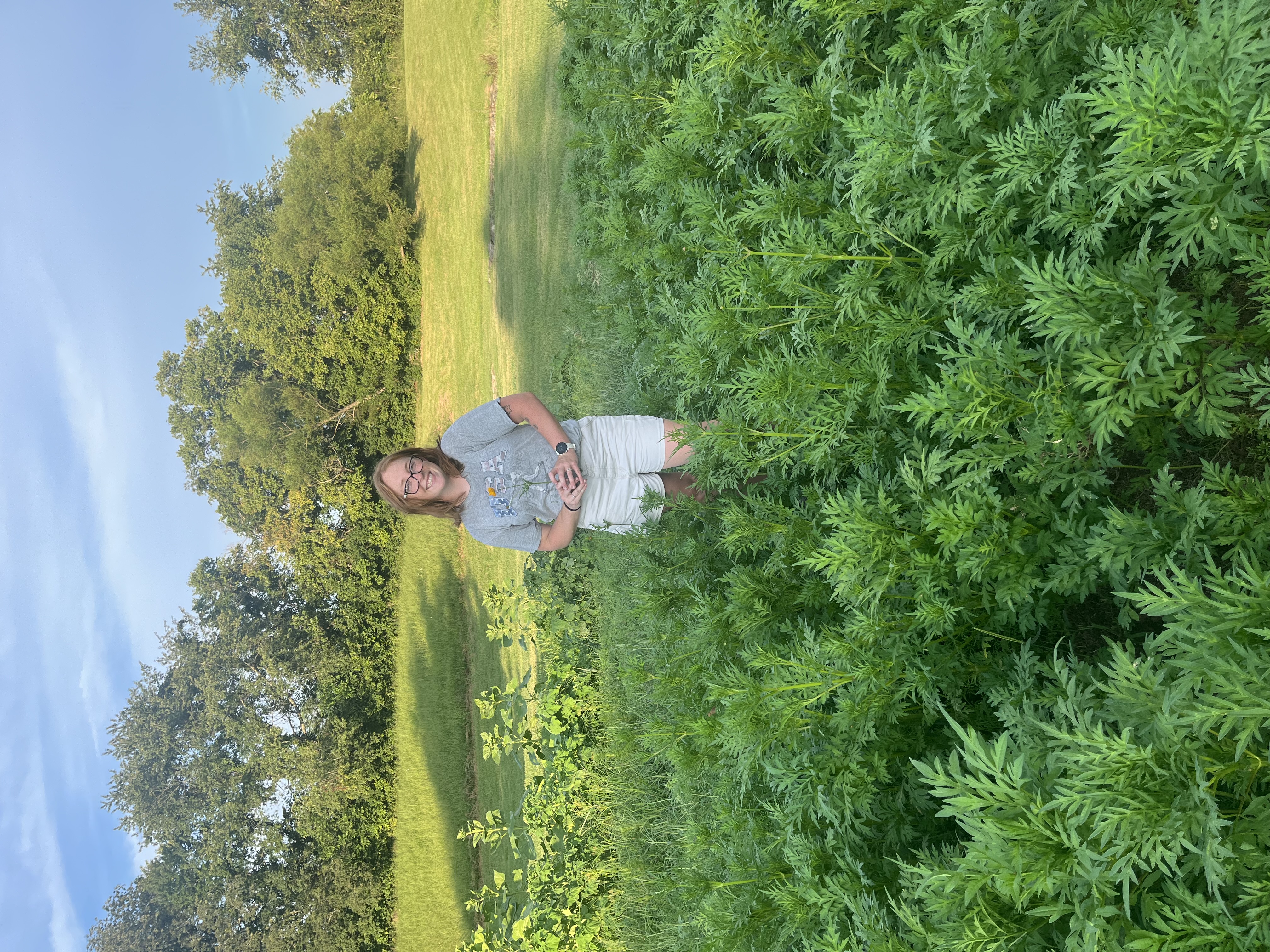 Owlsnest Flower Farm Banner