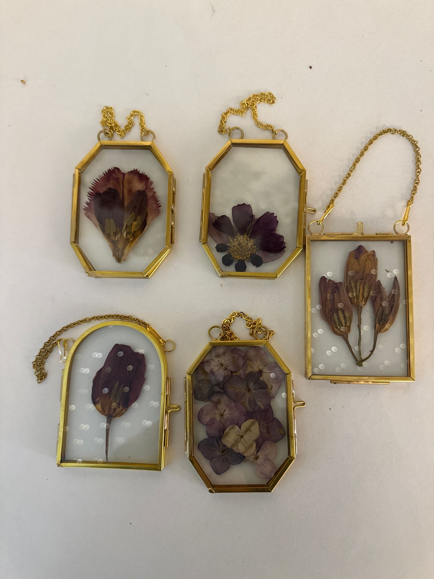 MINI Pressed flower frame