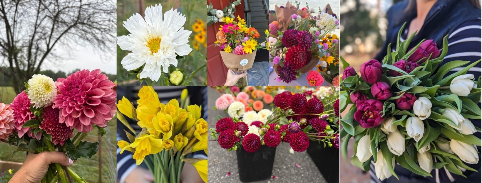 Lovettsville Blooms Banner