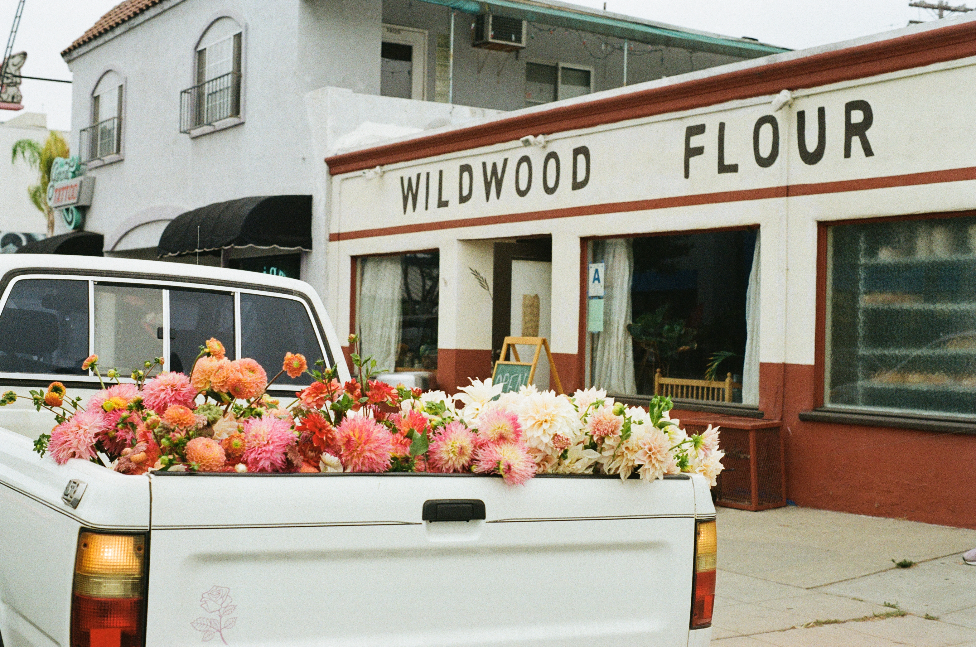 Chez Whatever LLC Banner