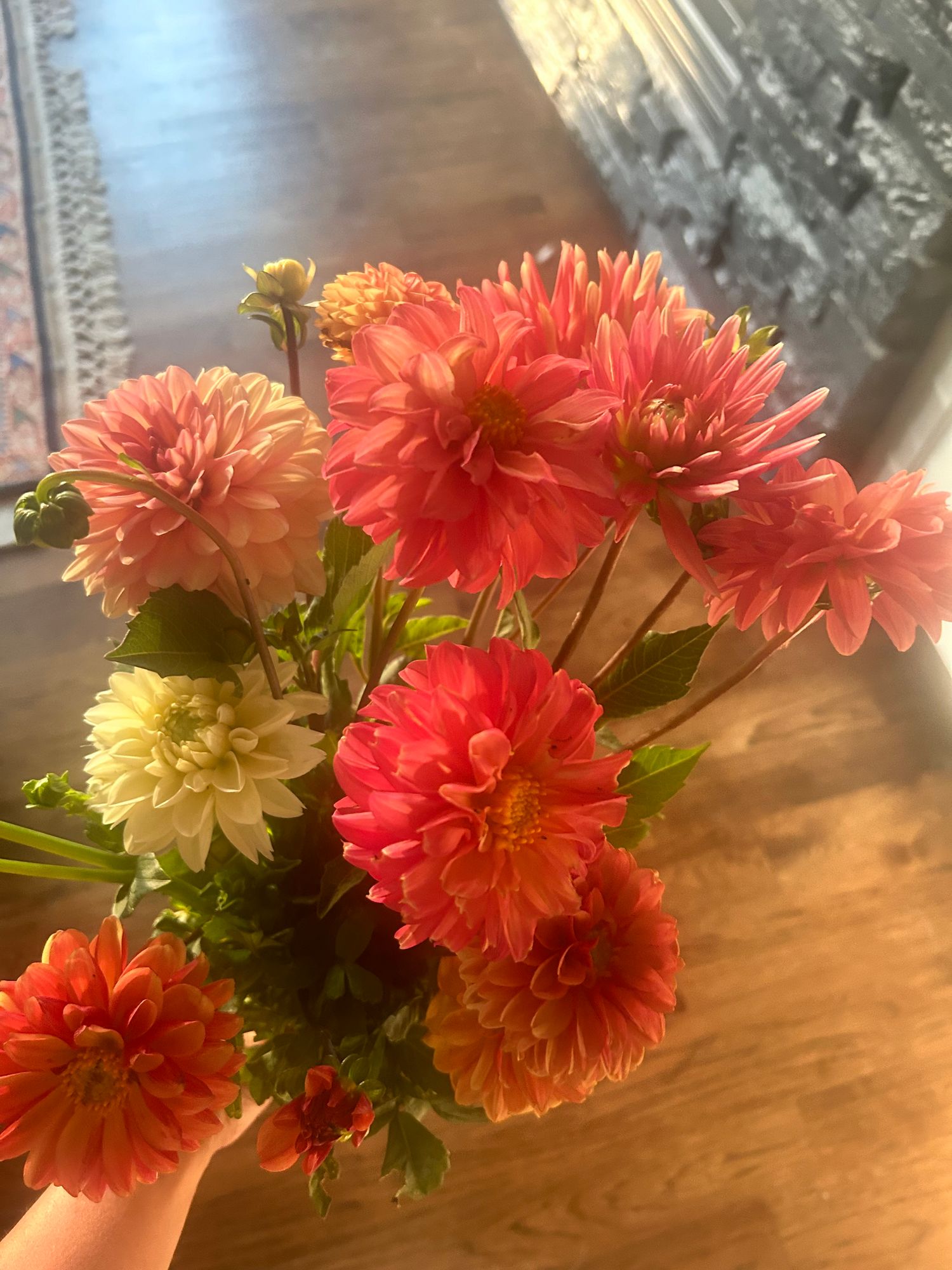 DAHLIA Decorative