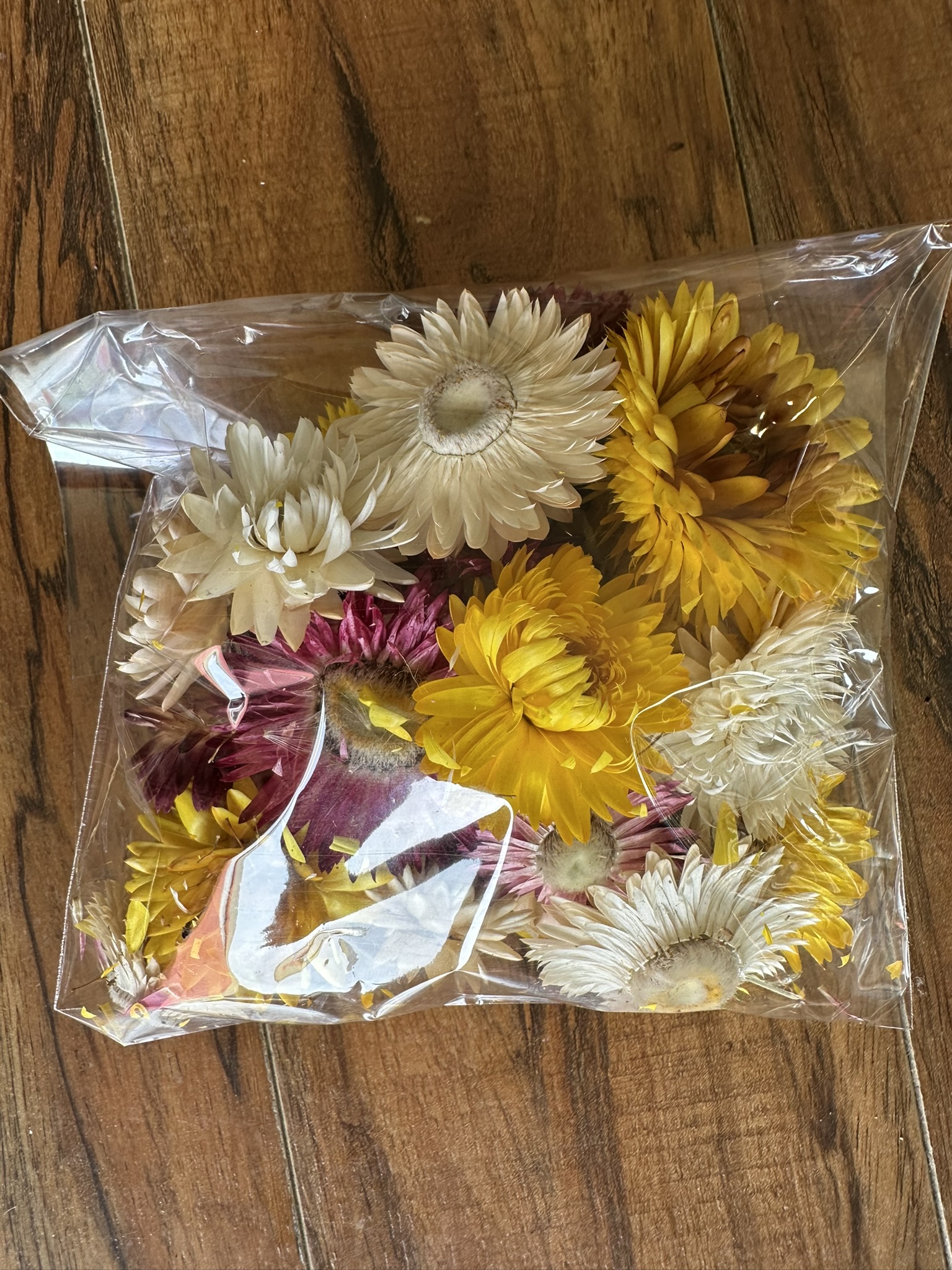 Dried Strawflower DIY Craft Pack