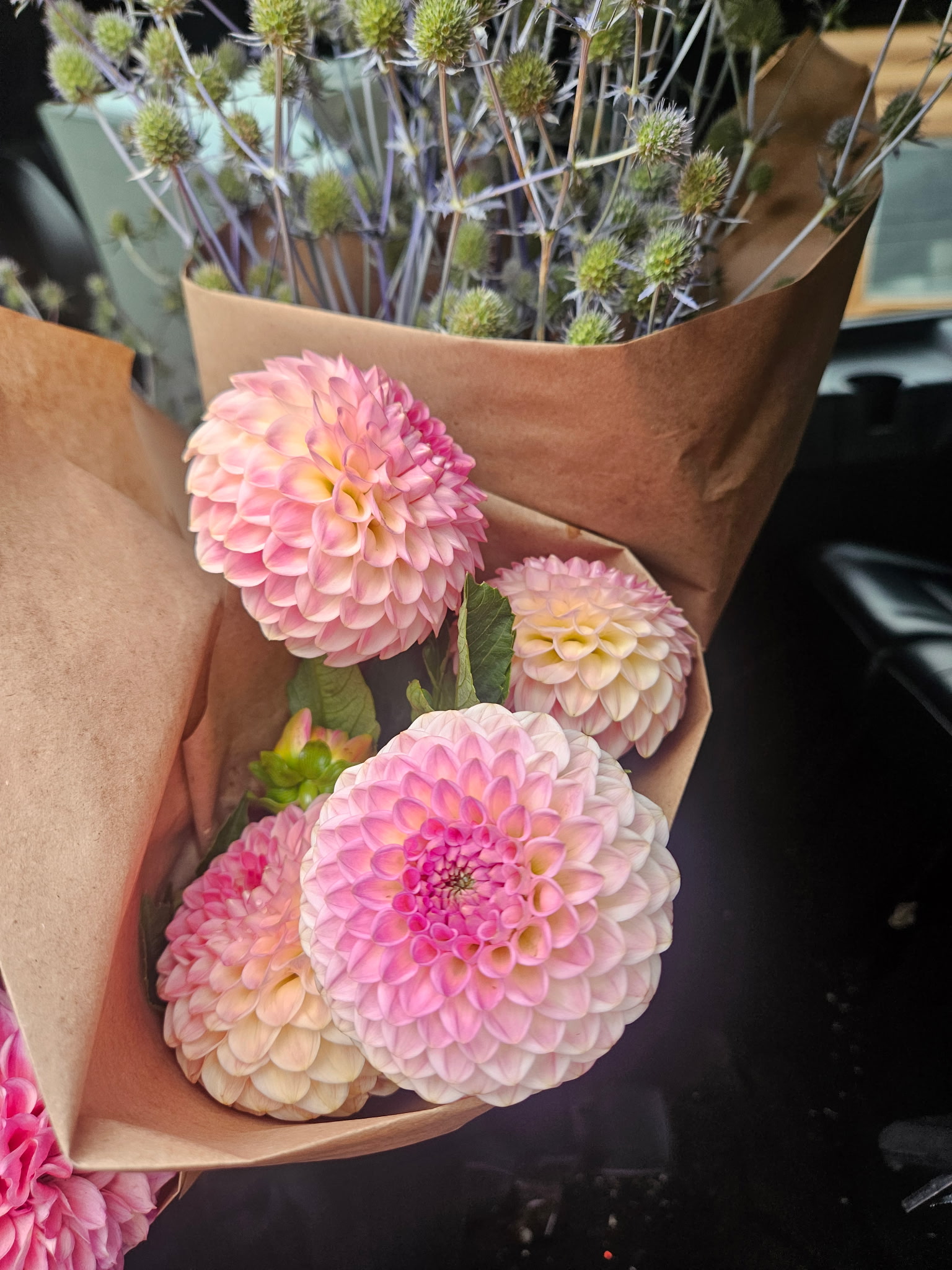 DAHLIA Ball