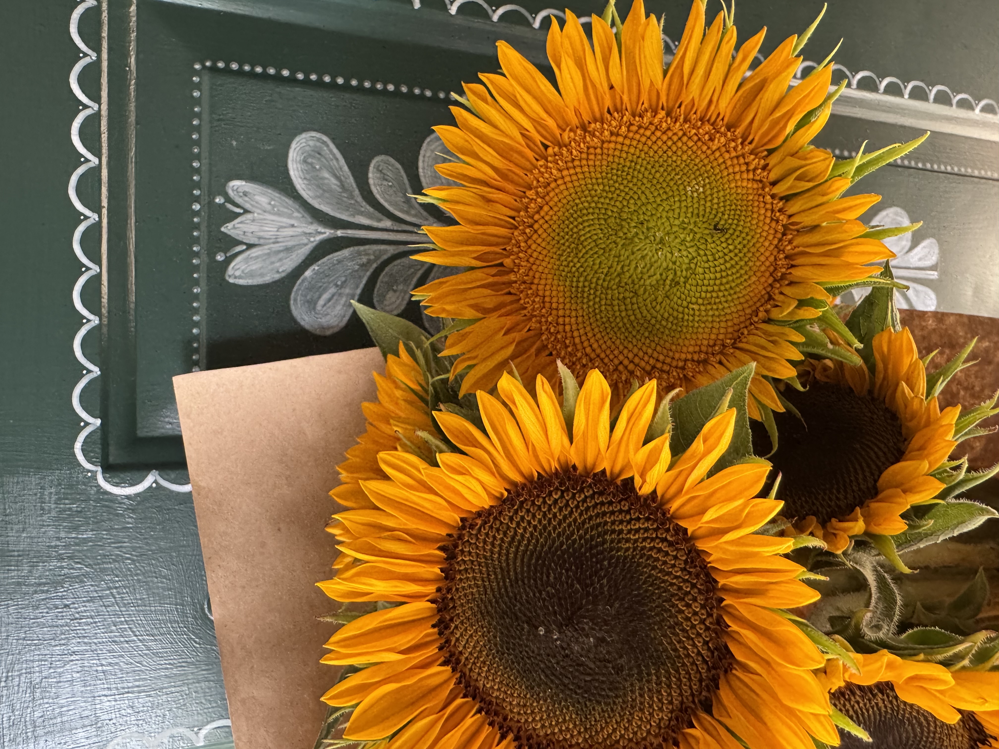 HELIANTHUS annuus ProCut